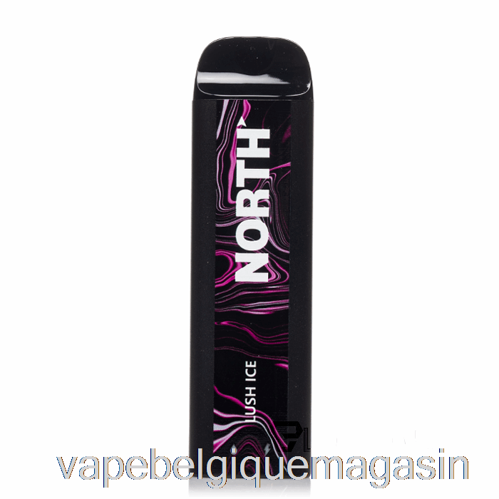 Vape Jetable North 5000 Glace Luxuriante Jetable